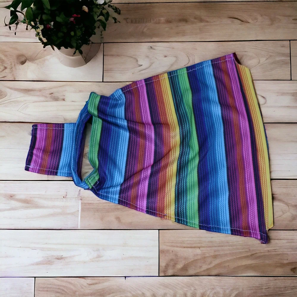 Rainbow Striped Fringed Dog Poncho Clothing Small